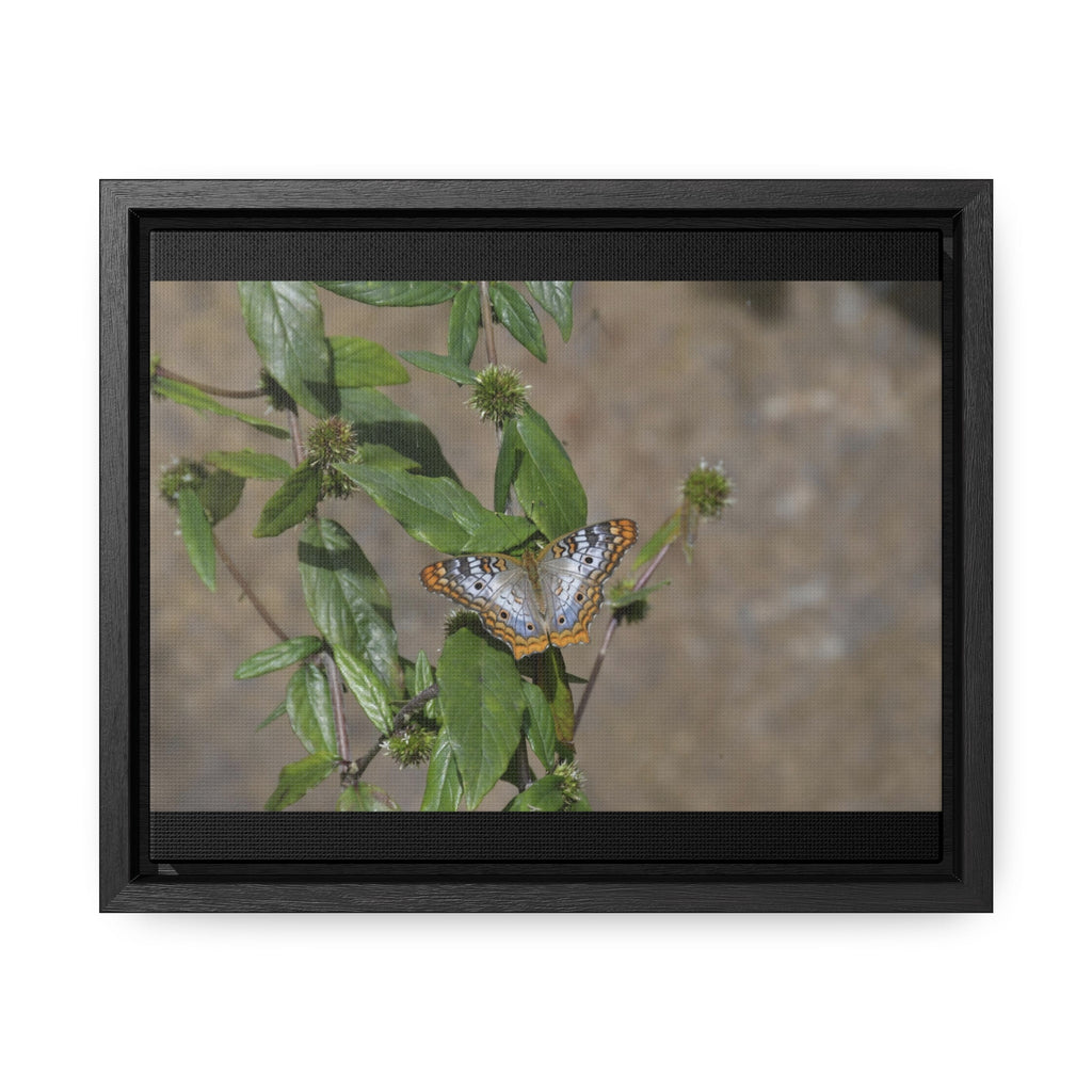 Rainforest Trails & Views - Gallery Canvas Wraps, Horizontal Frame - El Yunque National Forest - Puerto Rico - Rio Sabana Park Butterfly - Green Forest Home