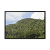 Rainforest Trails & Views - Gallery Canvas Wraps, Horizontal Frame - El Yunque National Forest - Puerto Rico - Rio Sabana park dense forest mountains - Green Forest Home