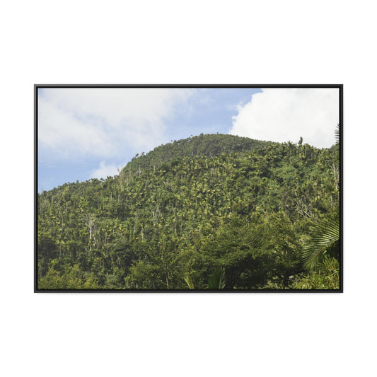 Rainforest Trails & Views - Gallery Canvas Wraps, Horizontal Frame - El Yunque National Forest - Puerto Rico - Rio Sabana park dense forest mountains - Green Forest Home