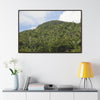 Rainforest Trails & Views - Gallery Canvas Wraps, Horizontal Frame - El Yunque National Forest - Puerto Rico - Rio Sabana park dense forest mountains - Green Forest Home