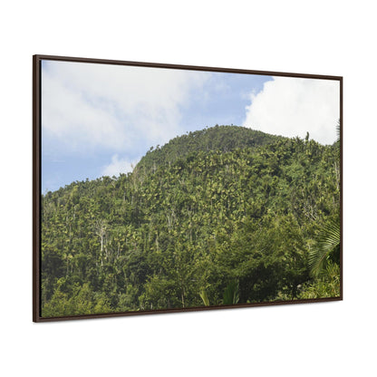 Rainforest Trails & Views - Gallery Canvas Wraps, Horizontal Frame - El Yunque National Forest - Puerto Rico - Rio Sabana park dense forest mountains - Green Forest Home