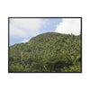 Rainforest Trails & Views - Gallery Canvas Wraps, Horizontal Frame - El Yunque National Forest - Puerto Rico - Rio Sabana park dense forest mountains - Green Forest Home