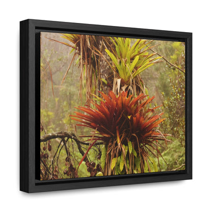 Rainforest Trails & Views - Gallery Canvas Wraps, Horizontal Frame - El Yunque National Forest - Puerto Rico - Rio Sabana red & green Bromeliads in Sierra Palm - Green Forest Home