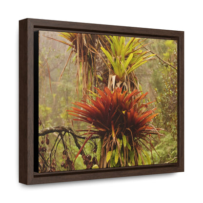 Rainforest Trails & Views - Gallery Canvas Wraps, Horizontal Frame - El Yunque National Forest - Puerto Rico - Rio Sabana red & green Bromeliads in Sierra Palm - Green Forest Home