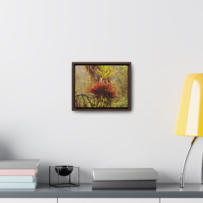 Rainforest Trails & Views - Gallery Canvas Wraps, Horizontal Frame - El Yunque National Forest - Puerto Rico - Rio Sabana red & green Bromeliads in Sierra Palm - Green Forest Home