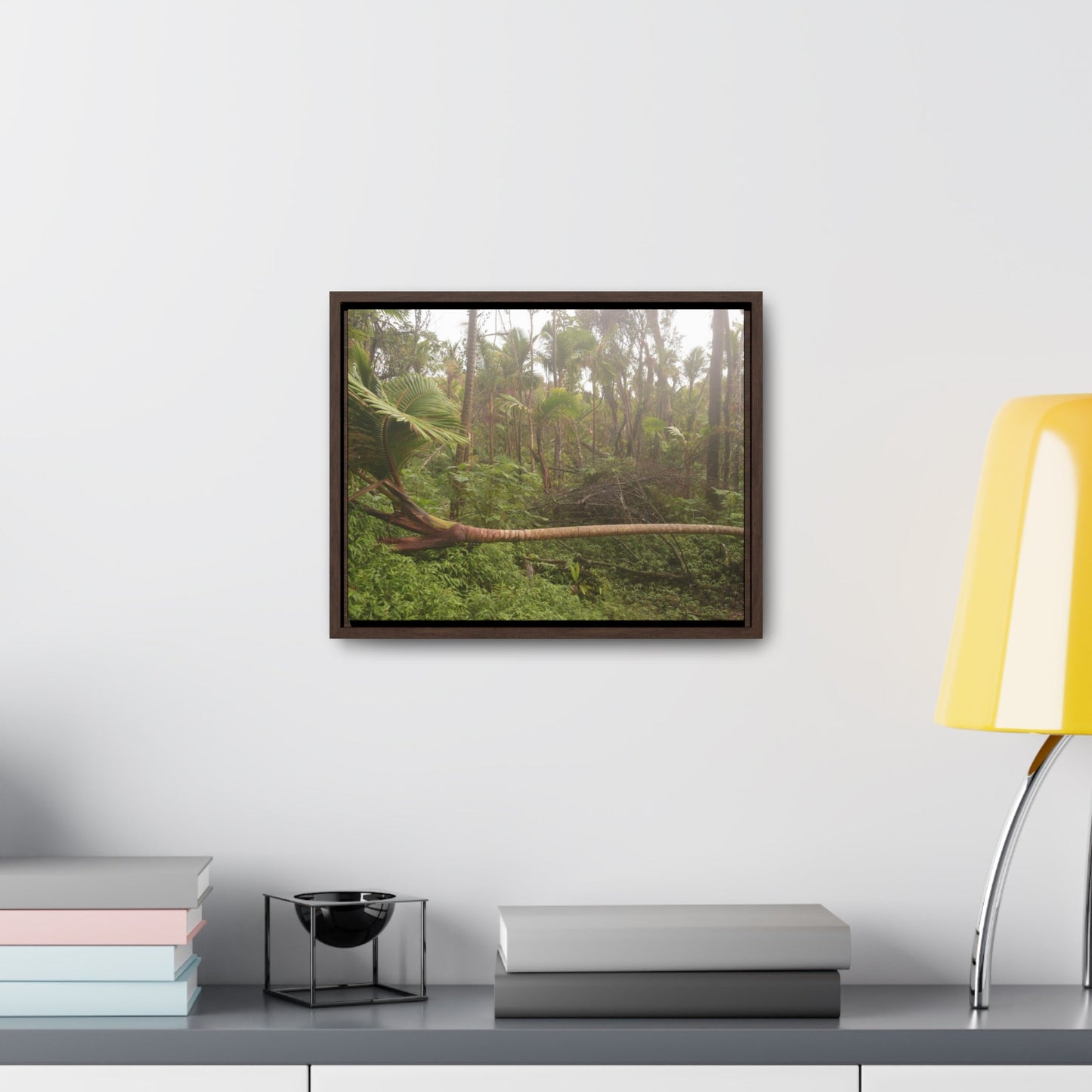 Rainforest Trails & Views - Gallery Canvas Wraps, Horizontal Frame - El Yunque National Forest - Puerto Rico - Rio Sabana Sierra Palm Tree fallen by Hurricane Maria - Green Forest Home