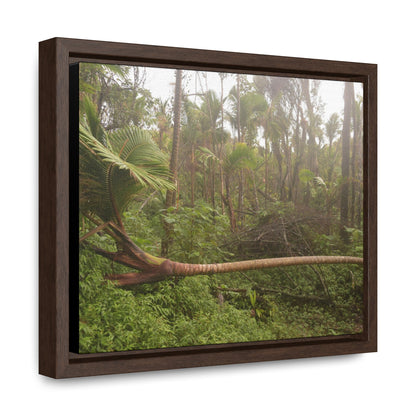 Rainforest Trails & Views - Gallery Canvas Wraps, Horizontal Frame - El Yunque National Forest - Puerto Rico - Rio Sabana Sierra Palm Tree fallen by Hurricane Maria - Green Forest Home