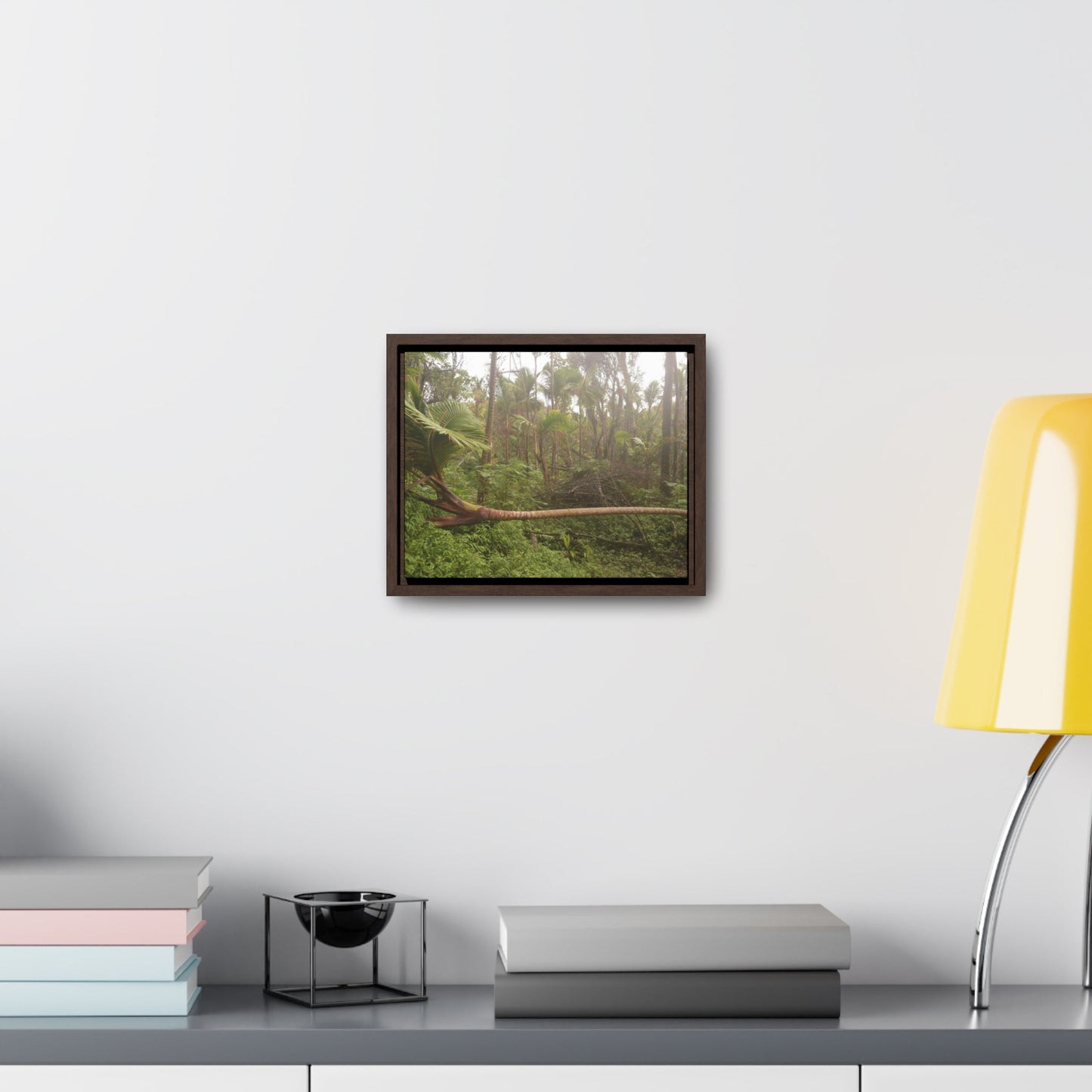 Rainforest Trails & Views - Gallery Canvas Wraps, Horizontal Frame - El Yunque National Forest - Puerto Rico - Rio Sabana Sierra Palm Tree fallen by Hurricane Maria - Green Forest Home