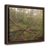 Rainforest Trails & Views - Gallery Canvas Wraps, Horizontal Frame - El Yunque National Forest - Puerto Rico - Rio Sabana tangle of Trees destroyed by Hurricane Maria - Green Forest Home