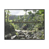 Rainforest Trails & Views - Gallery Canvas Wraps, Horizontal Frame - El Yunque National Forest - Puerto Rico - Rio Sabana Trail - Green Forest Home