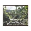 Rainforest Trails & Views - Gallery Canvas Wraps, Horizontal Frame - El Yunque National Forest - Puerto Rico - Rio Sabana Trail - Green Forest Home