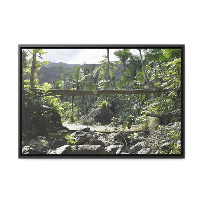 Rainforest Trails & Views - Gallery Canvas Wraps, Horizontal Frame - El Yunque National Forest - Puerto Rico - Rio Sabana Trail - Green Forest Home