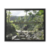 Rainforest Trails & Views - Gallery Canvas Wraps, Horizontal Frame - El Yunque National Forest - Puerto Rico - Rio Sabana Trail - Green Forest Home