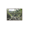 Rainforest Trails & Views - Gallery Canvas Wraps, Horizontal Frame - El Yunque National Forest - Puerto Rico - Rio Sabana Trail - Green Forest Home