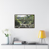 Rainforest Trails & Views - Gallery Canvas Wraps, Horizontal Frame - El Yunque National Forest - Puerto Rico - Rio Sabana Trail - Green Forest Home