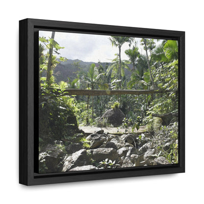 Rainforest Trails & Views - Gallery Canvas Wraps, Horizontal Frame - El Yunque National Forest - Puerto Rico - Rio Sabana Trail - Green Forest Home