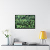 Rainforest Trails & Views - Gallery Canvas Wraps, Horizontal Frame - El Yunque National Forest - Puerto Rico - Rio Sabana trail - Bamboo grove - Green Forest Home