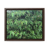 Rainforest Trails & Views - Gallery Canvas Wraps, Horizontal Frame - El Yunque National Forest - Puerto Rico - Rio Sabana trail - Bamboo grove - Green Forest Home
