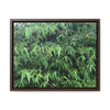 Rainforest Trails & Views - Gallery Canvas Wraps, Horizontal Frame - El Yunque National Forest - Puerto Rico - Rio Sabana trail - Bamboo grove - Green Forest Home
