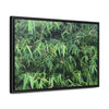 Rainforest Trails & Views - Gallery Canvas Wraps, Horizontal Frame - El Yunque National Forest - Puerto Rico - Rio Sabana trail - Bamboo grove - Green Forest Home
