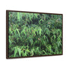 Rainforest Trails & Views - Gallery Canvas Wraps, Horizontal Frame - El Yunque National Forest - Puerto Rico - Rio Sabana trail - Bamboo grove - Green Forest Home