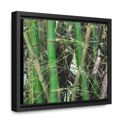 Rainforest Trails & Views - Gallery Canvas Wraps, Horizontal Frame - El Yunque National Forest - Puerto Rico - Rio Sabana trail - Bamboo grove - Green Forest Home