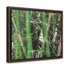 Rainforest Trails & Views - Gallery Canvas Wraps, Horizontal Frame - El Yunque National Forest - Puerto Rico - Rio Sabana trail - Bamboo grove - Green Forest Home