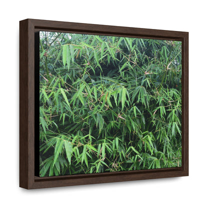 Rainforest Trails & Views - Gallery Canvas Wraps, Horizontal Frame - El Yunque National Forest - Puerto Rico - Rio Sabana trail - Bamboo grove - Green Forest Home