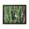 Rainforest Trails & Views - Gallery Canvas Wraps, Horizontal Frame - El Yunque National Forest - Puerto Rico - Rio Sabana trail - Bamboo grove - Green Forest Home