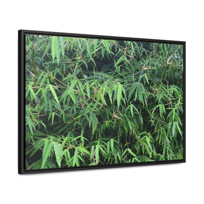 Rainforest Trails & Views - Gallery Canvas Wraps, Horizontal Frame - El Yunque National Forest - Puerto Rico - Rio Sabana trail - Bamboo grove - Green Forest Home