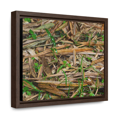 Rainforest Trails & Views - Gallery Canvas Wraps, Horizontal Frame - El Yunque National Forest - Puerto Rico - Rio Sabana trail - Bamboo leaves on the ground - Green Forest Home