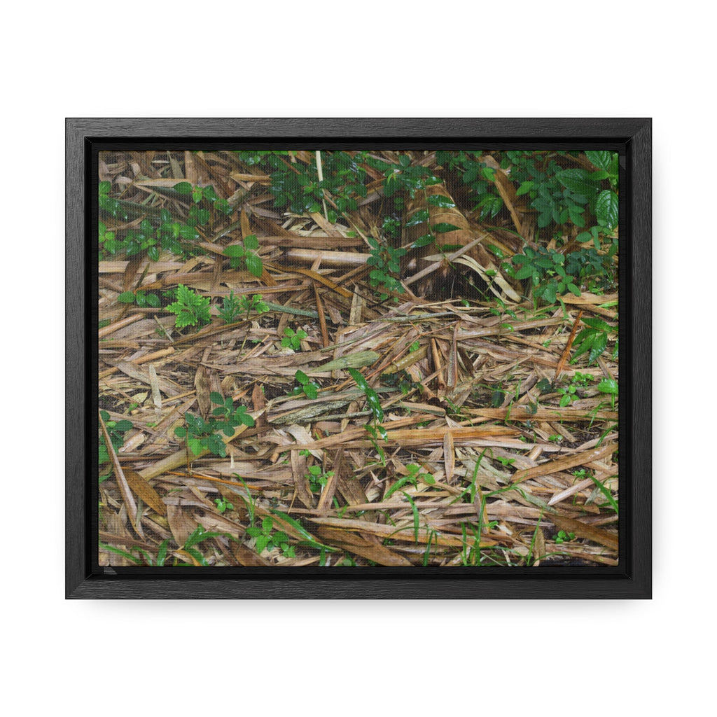 Rainforest Trails & Views - Gallery Canvas Wraps, Horizontal Frame - El Yunque National Forest - Puerto Rico - Rio Sabana trail - Bamboo leaves on the ground - Green Forest Home