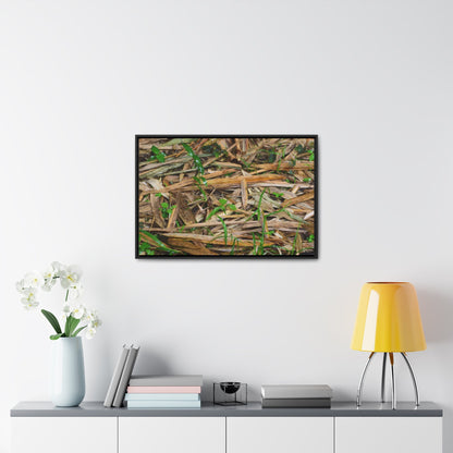 Rainforest Trails & Views - Gallery Canvas Wraps, Horizontal Frame - El Yunque National Forest - Puerto Rico - Rio Sabana trail - Bamboo leaves on the ground - Green Forest Home