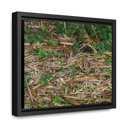 Rainforest Trails & Views - Gallery Canvas Wraps, Horizontal Frame - El Yunque National Forest - Puerto Rico - Rio Sabana trail - Bamboo leaves on the ground - Green Forest Home
