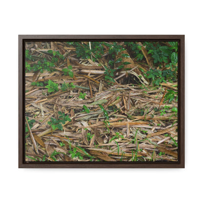 Rainforest Trails & Views - Gallery Canvas Wraps, Horizontal Frame - El Yunque National Forest - Puerto Rico - Rio Sabana trail - Bamboo leaves on the ground - Green Forest Home