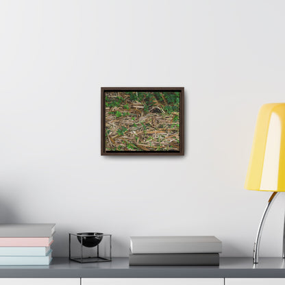 Rainforest Trails & Views - Gallery Canvas Wraps, Horizontal Frame - El Yunque National Forest - Puerto Rico - Rio Sabana trail - Bamboo leaves on the ground - Green Forest Home
