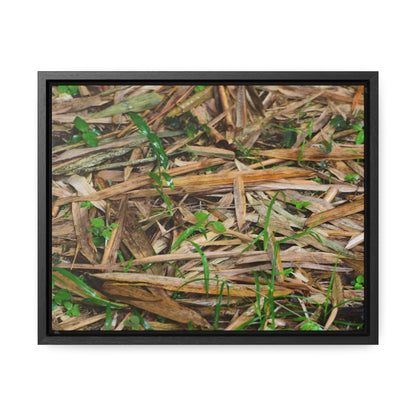 Rainforest Trails & Views - Gallery Canvas Wraps, Horizontal Frame - El Yunque National Forest - Puerto Rico - Rio Sabana trail - Bamboo leaves on the ground - Green Forest Home