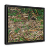 Rainforest Trails & Views - Gallery Canvas Wraps, Horizontal Frame - El Yunque National Forest - Puerto Rico - Rio Sabana trail - Bamboo leaves on the ground - Green Forest Home