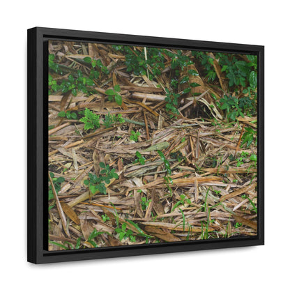 Rainforest Trails & Views - Gallery Canvas Wraps, Horizontal Frame - El Yunque National Forest - Puerto Rico - Rio Sabana trail - Bamboo leaves on the ground - Green Forest Home