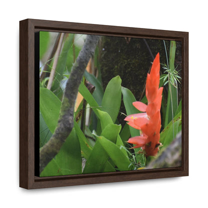 Rainforest Trails & Views - Gallery Canvas Wraps, Horizontal Frame - El Yunque National Forest - Puerto Rico - Rio Sabana trail bromeliad in flower - Green Forest Home