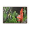 Rainforest Trails & Views - Gallery Canvas Wraps, Horizontal Frame - El Yunque National Forest - Puerto Rico - Rio Sabana trail bromeliad in flower - Green Forest Home