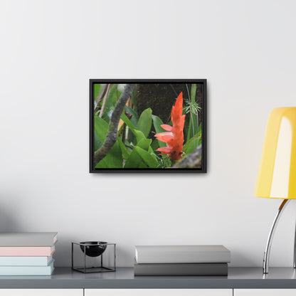 Rainforest Trails & Views - Gallery Canvas Wraps, Horizontal Frame - El Yunque National Forest - Puerto Rico - Rio Sabana trail bromeliad in flower - Green Forest Home