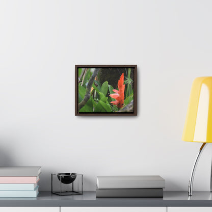 Rainforest Trails & Views - Gallery Canvas Wraps, Horizontal Frame - El Yunque National Forest - Puerto Rico - Rio Sabana trail bromeliad in flower - Green Forest Home