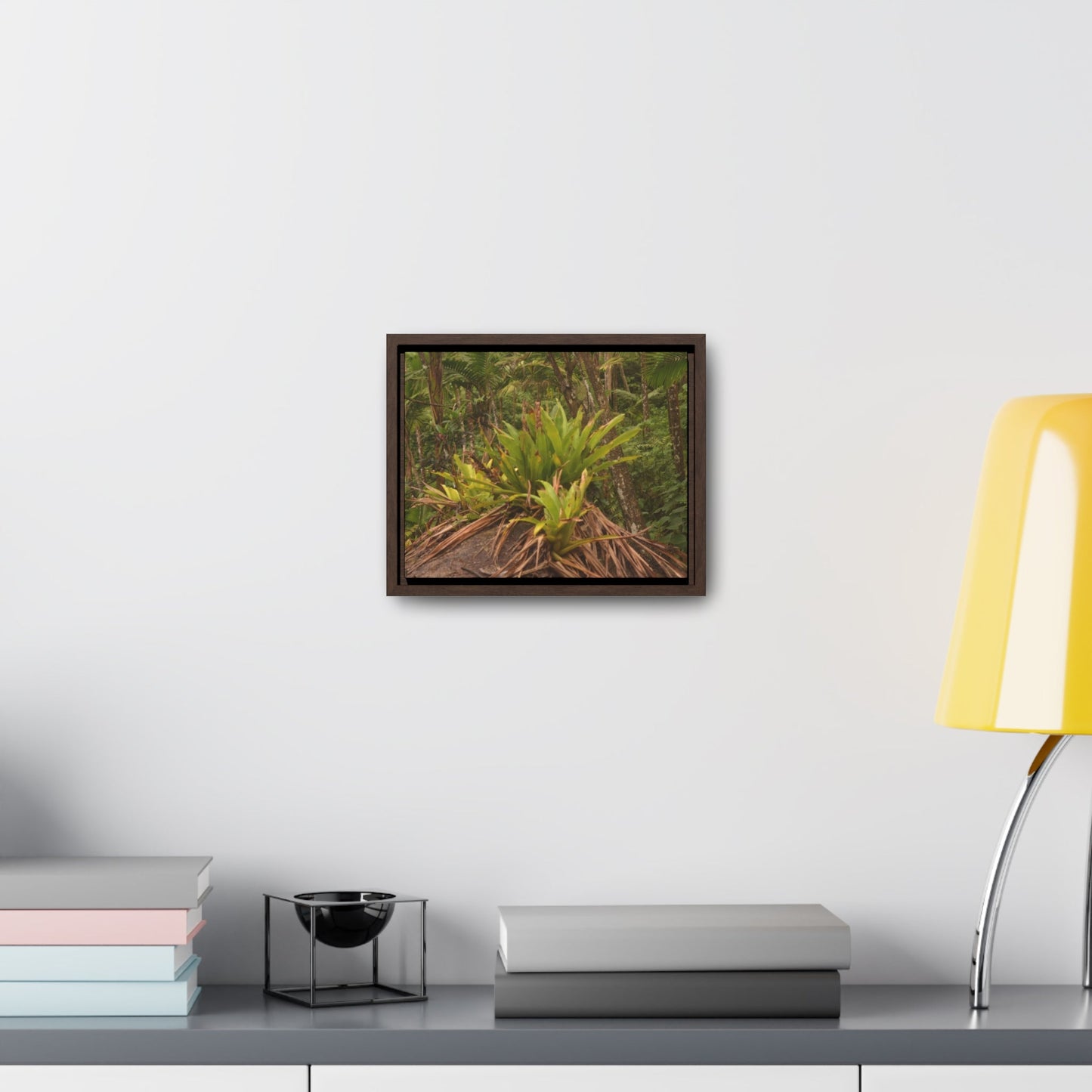 Rainforest Trails & Views - Gallery Canvas Wraps, Horizontal Frame - El Yunque National Forest - Puerto Rico - Rio Sabana trail bromeliad on boulder - Green Forest Home