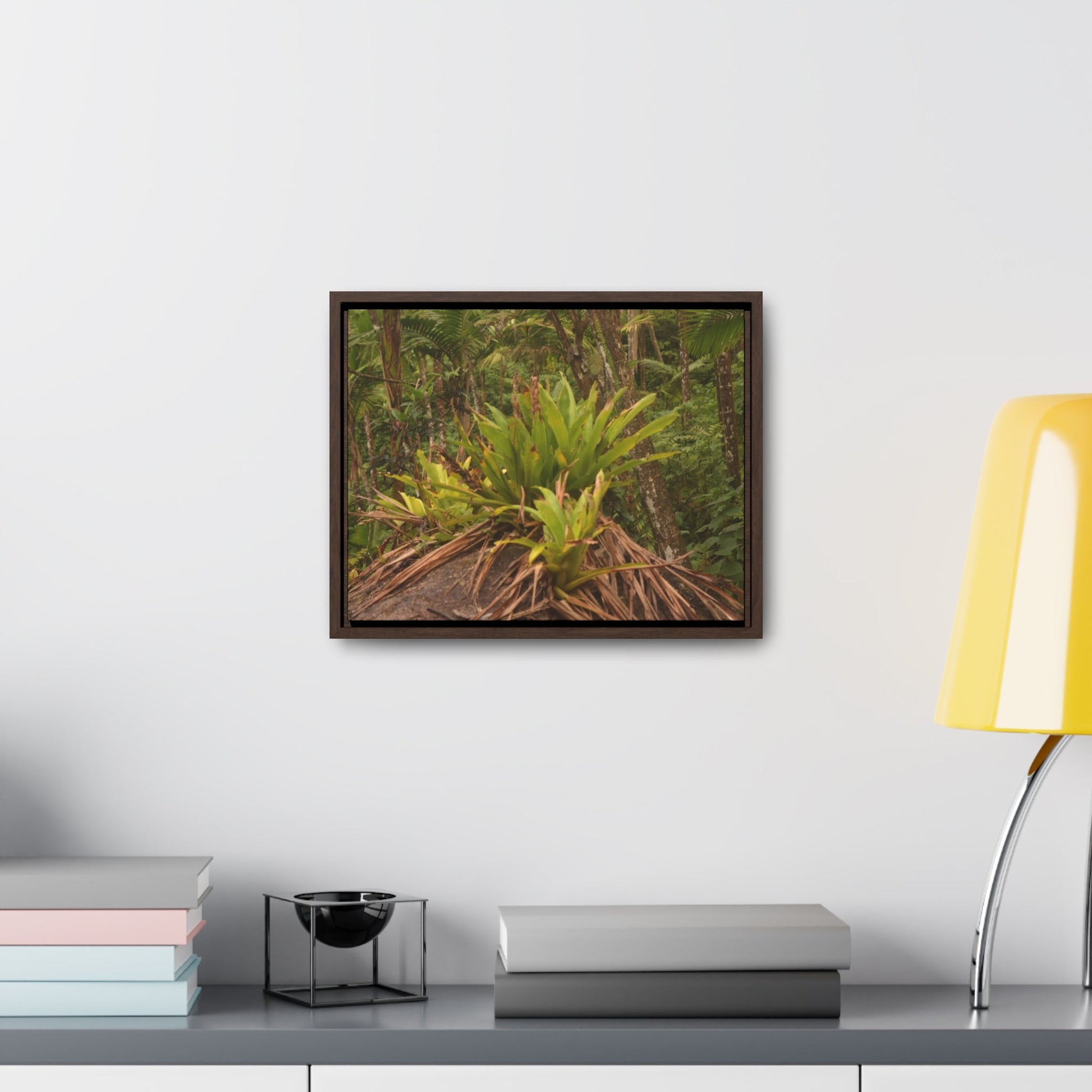 Rainforest Trails & Views - Gallery Canvas Wraps, Horizontal Frame - El Yunque National Forest - Puerto Rico - Rio Sabana trail bromeliad on boulder - Green Forest Home