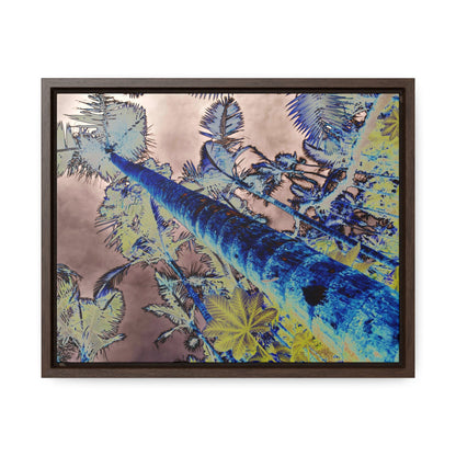Rainforest Trails & Views - Gallery Canvas Wraps, Horizontal Frame - El Yunque National Forest - Puerto Rico - Rio Sabana Trail Color-Enhanced Sierra Palms - Green Forest Home