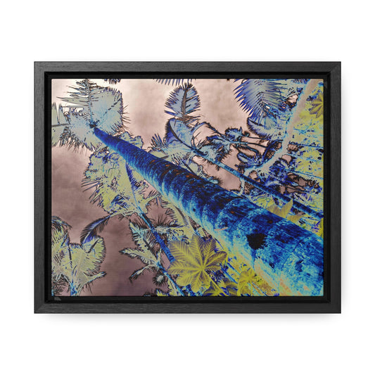 Rainforest Trails & Views - Gallery Canvas Wraps, Horizontal Frame - El Yunque National Forest - Puerto Rico - Rio Sabana Trail Color-Enhanced Sierra Palms - Green Forest Home