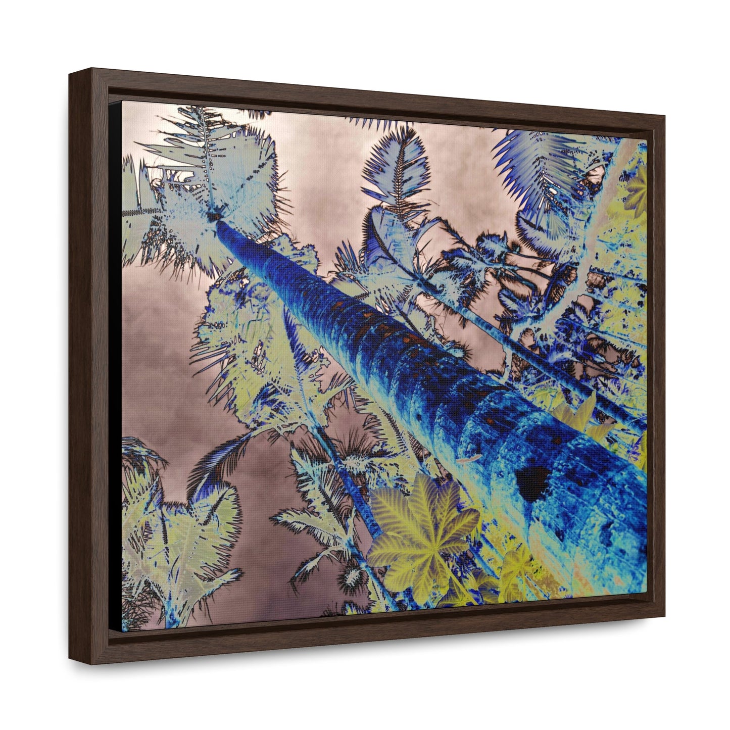 Rainforest Trails & Views - Gallery Canvas Wraps, Horizontal Frame - El Yunque National Forest - Puerto Rico - Rio Sabana Trail Color-Enhanced Sierra Palms - Green Forest Home