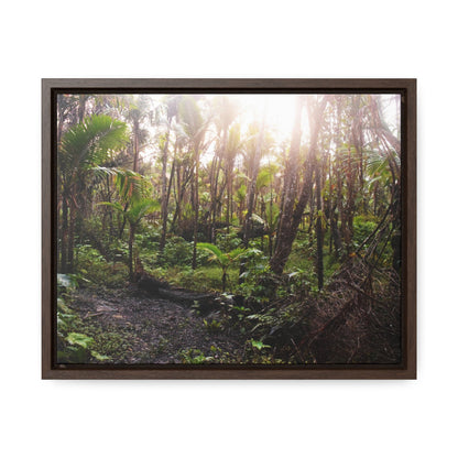 Rainforest Trails & Views - Gallery Canvas Wraps, Horizontal Frame - El Yunque National Forest - Puerto Rico - Rio Sabana trail crosses a swap in sunset - Green Forest Home