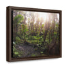 Rainforest Trails & Views - Gallery Canvas Wraps, Horizontal Frame - El Yunque National Forest - Puerto Rico - Rio Sabana trail crosses a swap in sunset - Green Forest Home